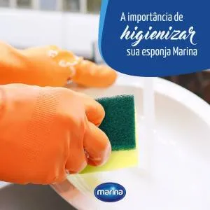 Imagem ilustrativa de A importância de higienizar sua esponja Marina