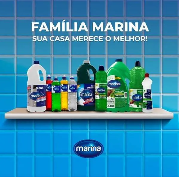 Imagem ilustrativa de Industria de produtos de limpeza domestica